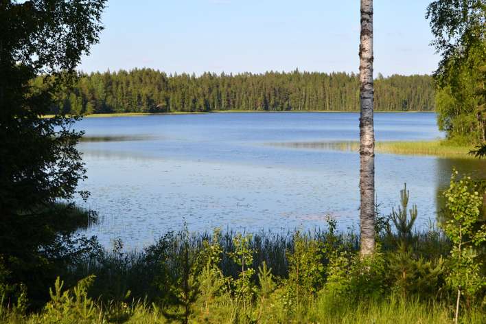 Loma-asunto, 3h+k+s, 71,5/85,5 m², Kotala - Näkymä 2