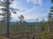 Ylempää, Korkeavaaran suunnasta