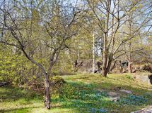 olohuoneen vehreät näkymät