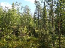 Salla, Sallatunturi, Seitakuja
