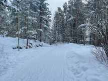 Alueella on mukavia ulkoilureittejä.