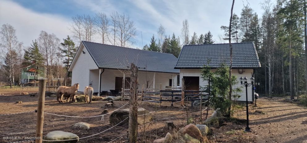 Asuntoilmoituksen kuva