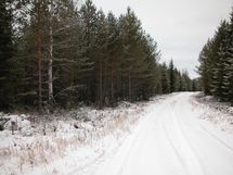 Ylöjärvi, Kuru Ojajärvi