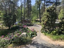 Alavaja saunan suunnalta