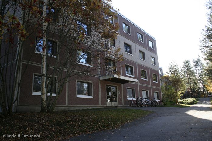 Arja Eskelinen Kiinteistonvalittaja Ked Lkv Ykv Kiinteistomaailma Kuopio Torikartano