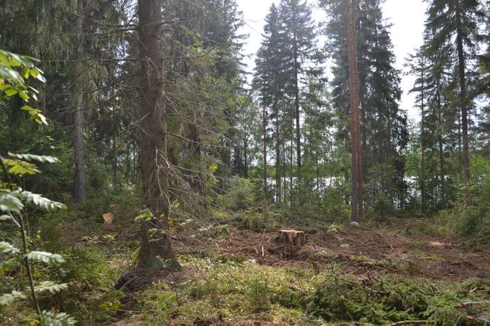 Tontti, 5 750 m², Längelmäki - Näkymä 2