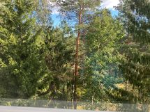 Näkymä olohuoneen ikkunasta