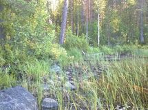 Kuhmo, Iivantiira, Petäjälahti-Kortelahti