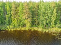 Leppävirta, Paljakkavesi, Kiukkaansaari