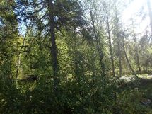 Salla, Sallatunturi, Seitakuja