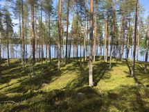 Suomussalmi, Kiantajärvi, Haukiperä