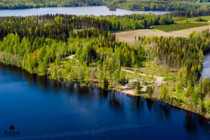 Tontti, Jäminki