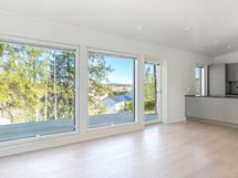Olohuone ja avokeittiö