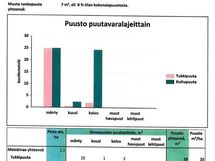 Puusto Pikku-Heikkilä