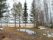 Saimaan ranta