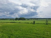 Tontti sijaitsee pellon laidalla