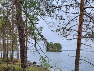 Kohdekuva