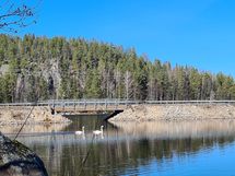Silta kuvattuna tonteilta päin, muutama kesänaapurikin osui kuviin