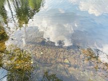 Oma ranta. 
