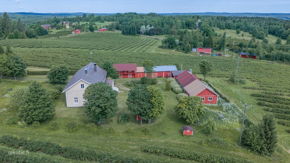 Kohdekuva