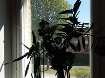 Näkymä keittiön etelään avautuvasta ikkunasta.