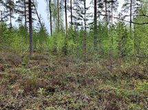 Kajaani, Laakajärvi, Haahkantie