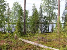 Kuhmo, Nurmesjärvi