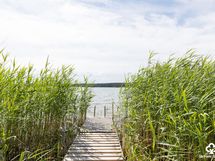 Laituri