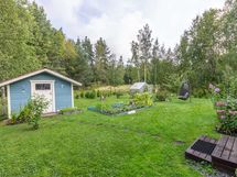 Takapihaa kesäaikaan