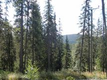 Salla, Sallatunturi, Seitakuja