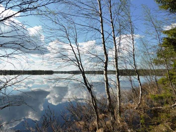 Tontti, 6 100 m², Piispajärvi, Suomussalmi