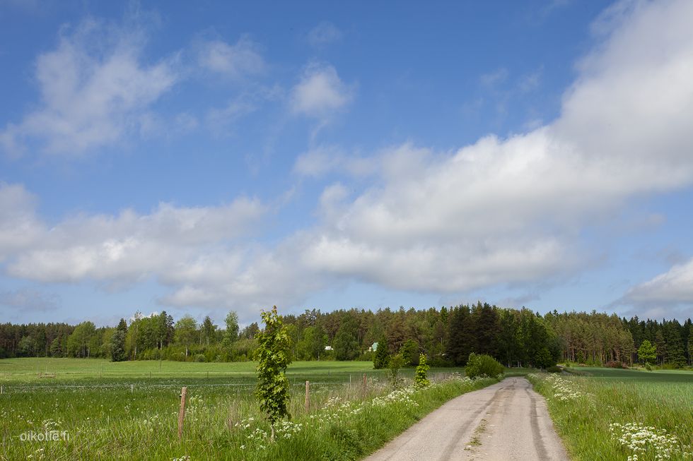Kohdekuva