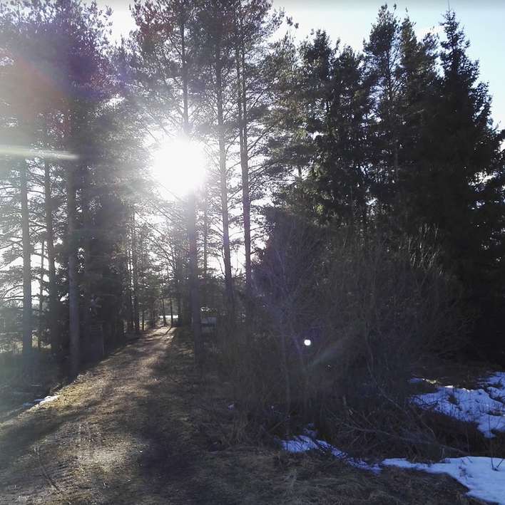 Tontti, 2 820 m², Torppi - Näkymä 4