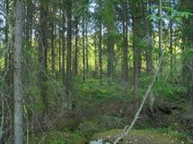 Heinävesi, Rajalahti
