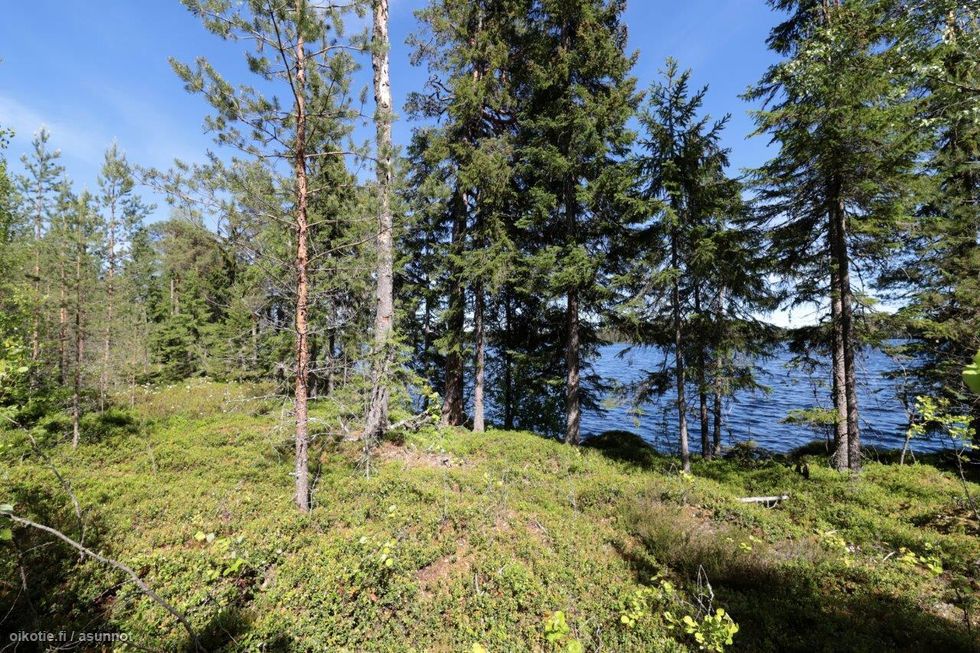 4 240 M Iso Mustajarvi Pohjoisosa Tontti 15 Ylojarvi Muu Tontti Myynnissa Oikotie