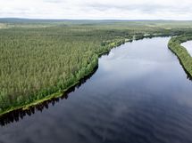 Kitinen