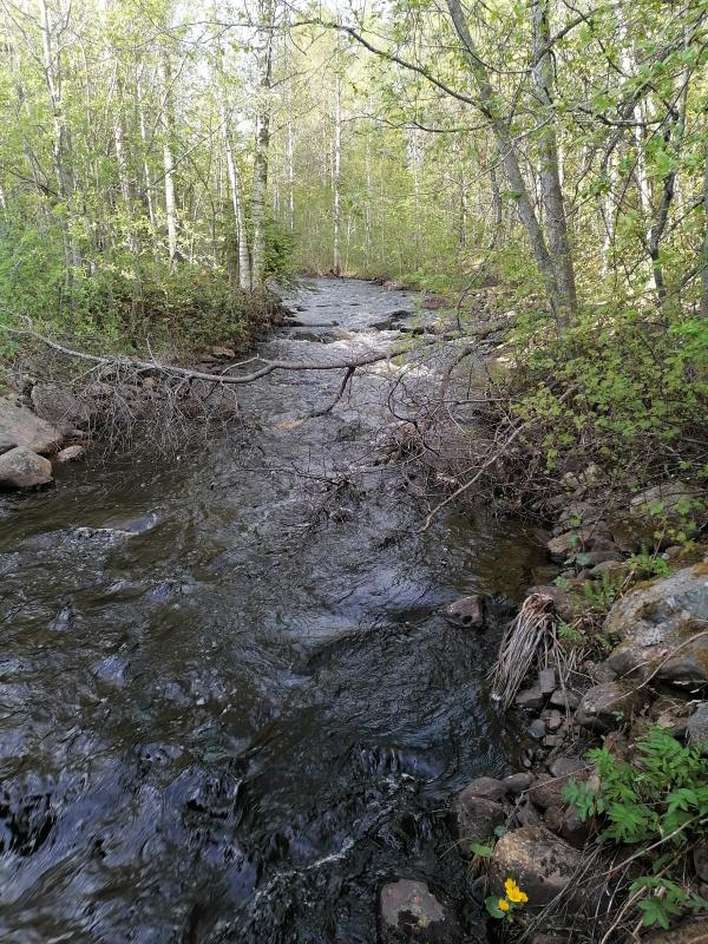 Tontti, 7 950 m², Puso, Kontiolahti