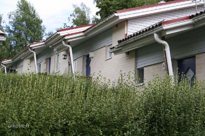 Talokuva