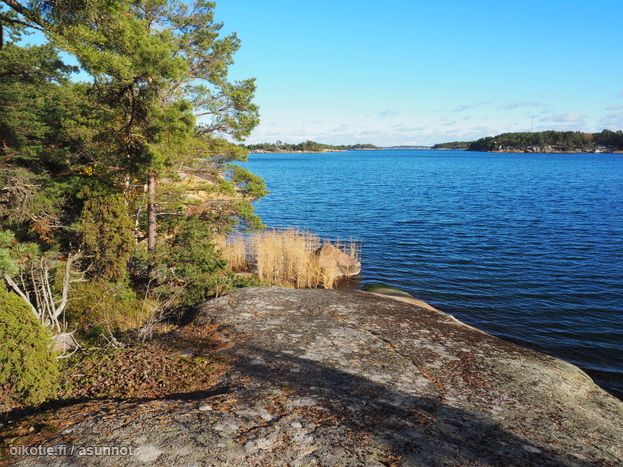 Asuntoilmoituksen kuva