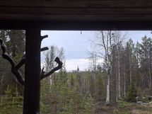 Näkymät mökin terassilta