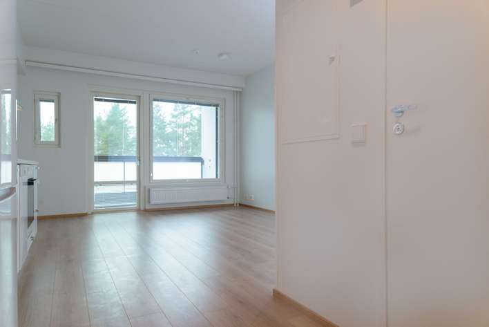 Kerrostalo, 1H+KT+PARV, 29 m², Runosmäki - Näkymä 4