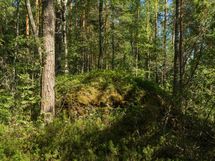 Mäntyharju, Rautjärvi