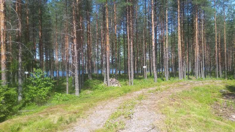 Tontti, 4 998 m², haavisto LÄYLIÄNTIE.