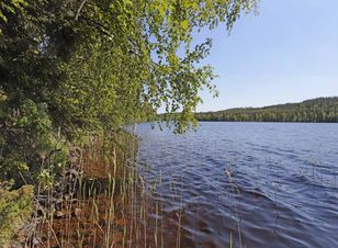 Kohdekuva