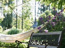 Riippukeinu saarnien välissä