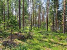 Heinävesi, Suuri Humalajärvi