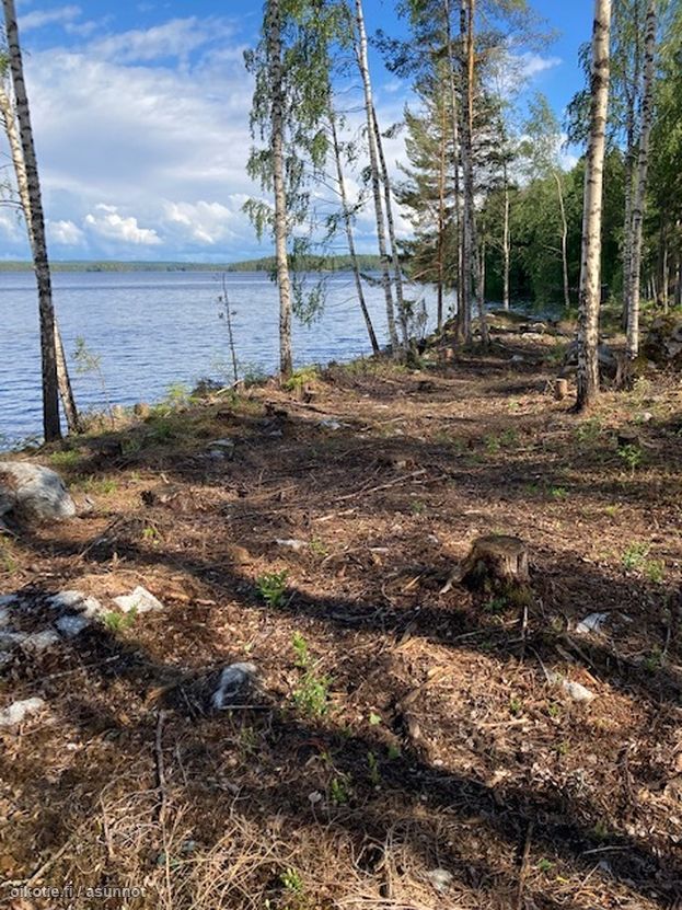 Asuntoilmoituksen kuva