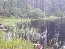 Kuhmo, Jämäs, Ontojärvi