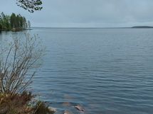 Kajaani, Laakajärvi, Metsäkukantie