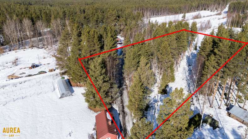 Kohdekuva